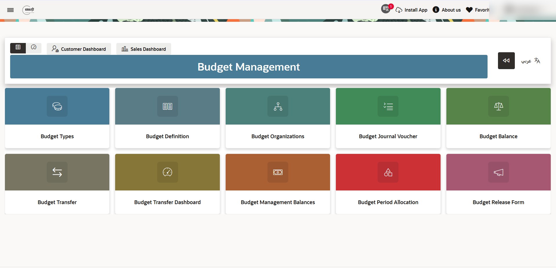 Real EASOFT budget management screen