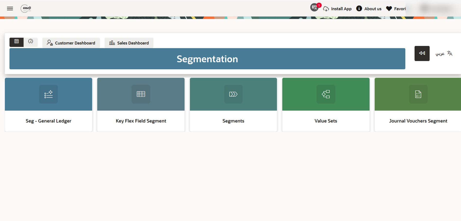 Real EASOFT financial segmentation screen